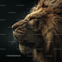 Majestic Lion in Dramatic Profile
