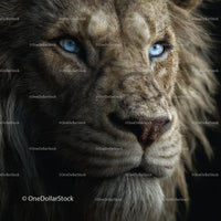 Majestic Lion with Intense Blue Eyes in Close-Up