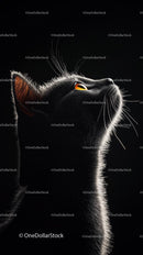 Black Cat Silhouette with Amber Eyes in Dramatic Light