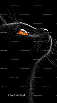 Close-Up of Black Cat with Mesmerizing Eyes Against Dark Backdrop