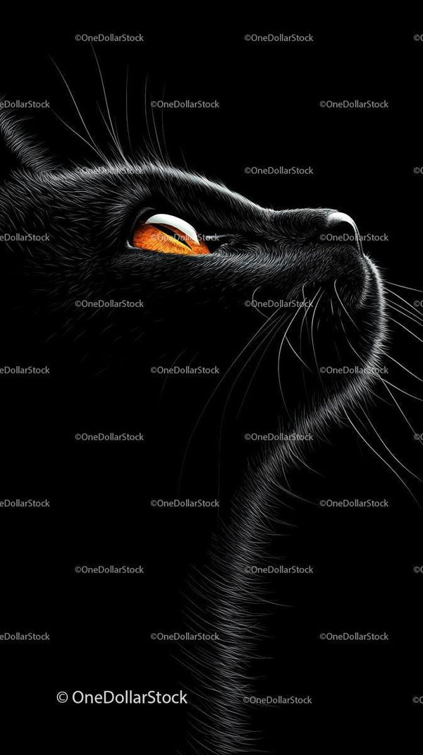Close-Up of Black Cat with Mesmerizing Eyes Against Dark Backdrop