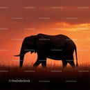Silhouette of Elephant at Sunset in African Savanna