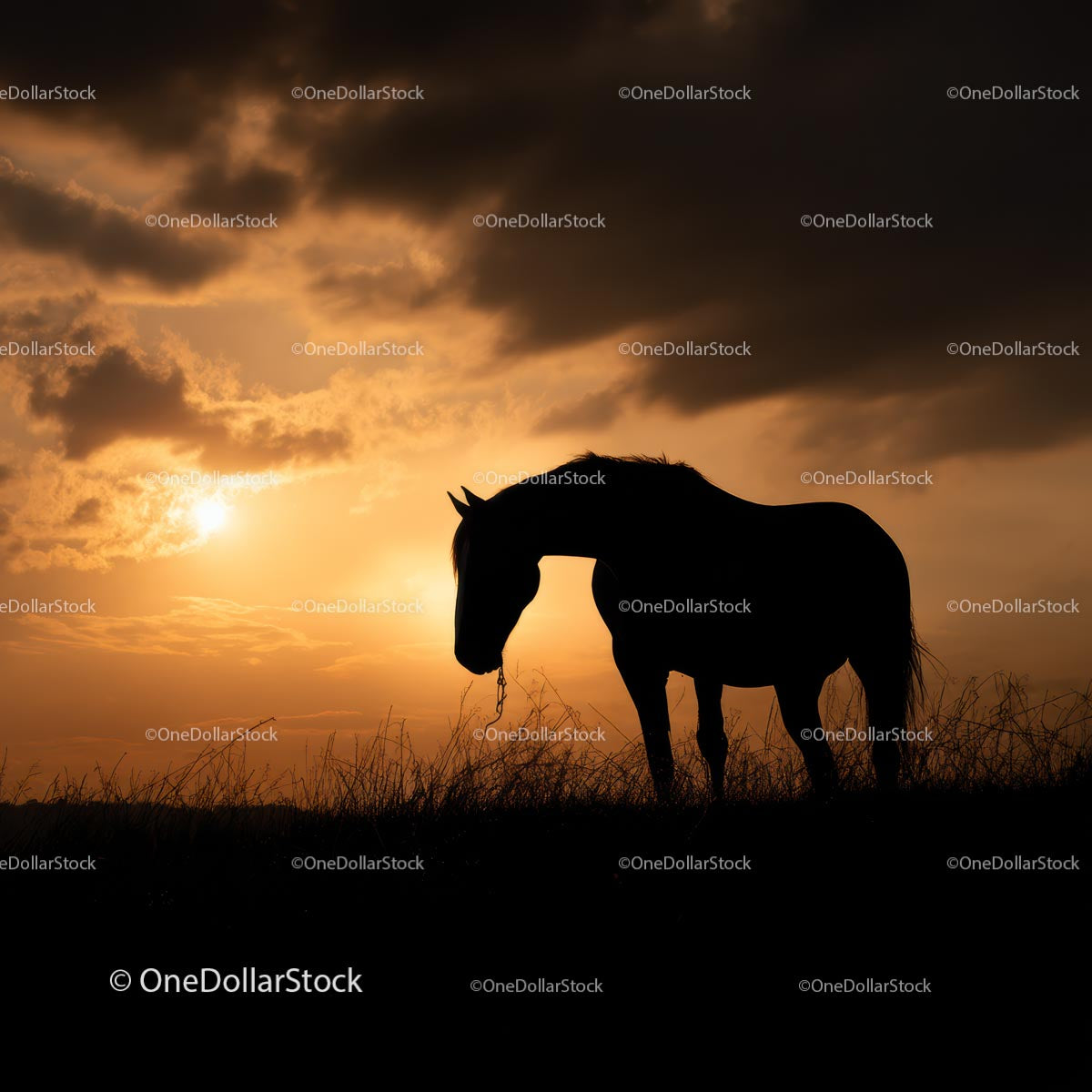 Silhouette of Horse Against Vibrant Sunset Sky