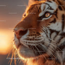Majestic Tiger in Glowing Sunset Lighting