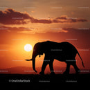 Elephant Silhouette Against a Vibrant Sunset Sky