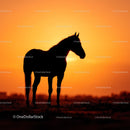 Majestic Horse Silhouette at Sunset
