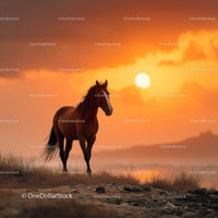 Wild Horse Silhouette Against a Vibrant Sunset Sky