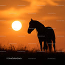 Graceful Horse Silhouette at Sunset in Warm Orange Sky