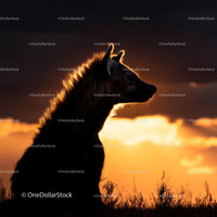 Hyena Silhouette Against Vibrant Savannah Sunset