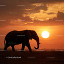 Elephant Silhouette Against a Vibrant Sunset