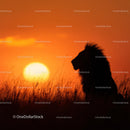 Lion Silhouette Against Vibrant Savannah Sunset