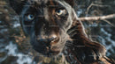 Close-Up of Intense Black Panther in the Wild