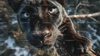 Close-Up of Intense Black Panther in the Wild