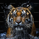 Fierce Tiger Emerging from Water with Splashes