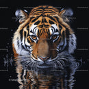 Majestic Tiger in Water with Striking Reflection