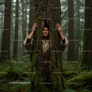 Person Meditating Embraces Tree in Tranquil Forest Setting