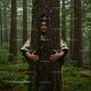 Forest Meditation: Embracing Nature's Calm