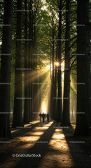 Sunlit Forest Pathway with Majestic Tall Trees