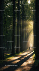 Sunlit Path Through a Serene Forest
