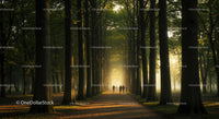 Tranquil Tree-Lined Path in Early Morning Light