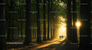 Sunlit Forest Path with Morning Mist and Tree Alignment