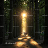 Sunset Stroll Through a Serene Forest Path