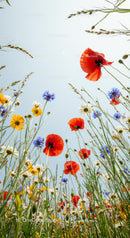 Colorful Wildflower Meadow with Poppies and Cornflowers
