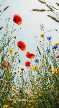 Vibrant Wildflower Meadow with Red Poppies and Daisies