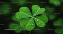 Close-Up of Fresh Clover with Dew Drops