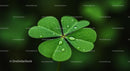 Close-Up of a Dew-Kissed Four-Leaf Clover