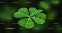 Close-Up of a Dew-Kissed Four-Leaf Clover