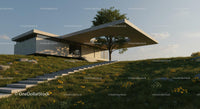Modern Concrete House Amidst Greenery and Yellow Flowers