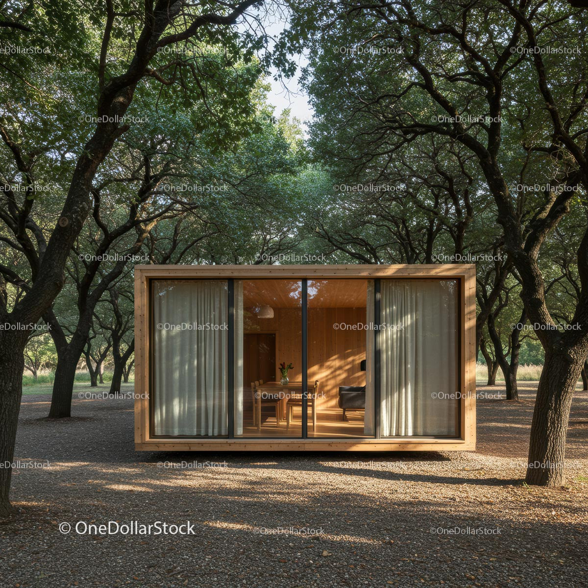 Modern Wooden Cabin Nestled in Enchanting Forest