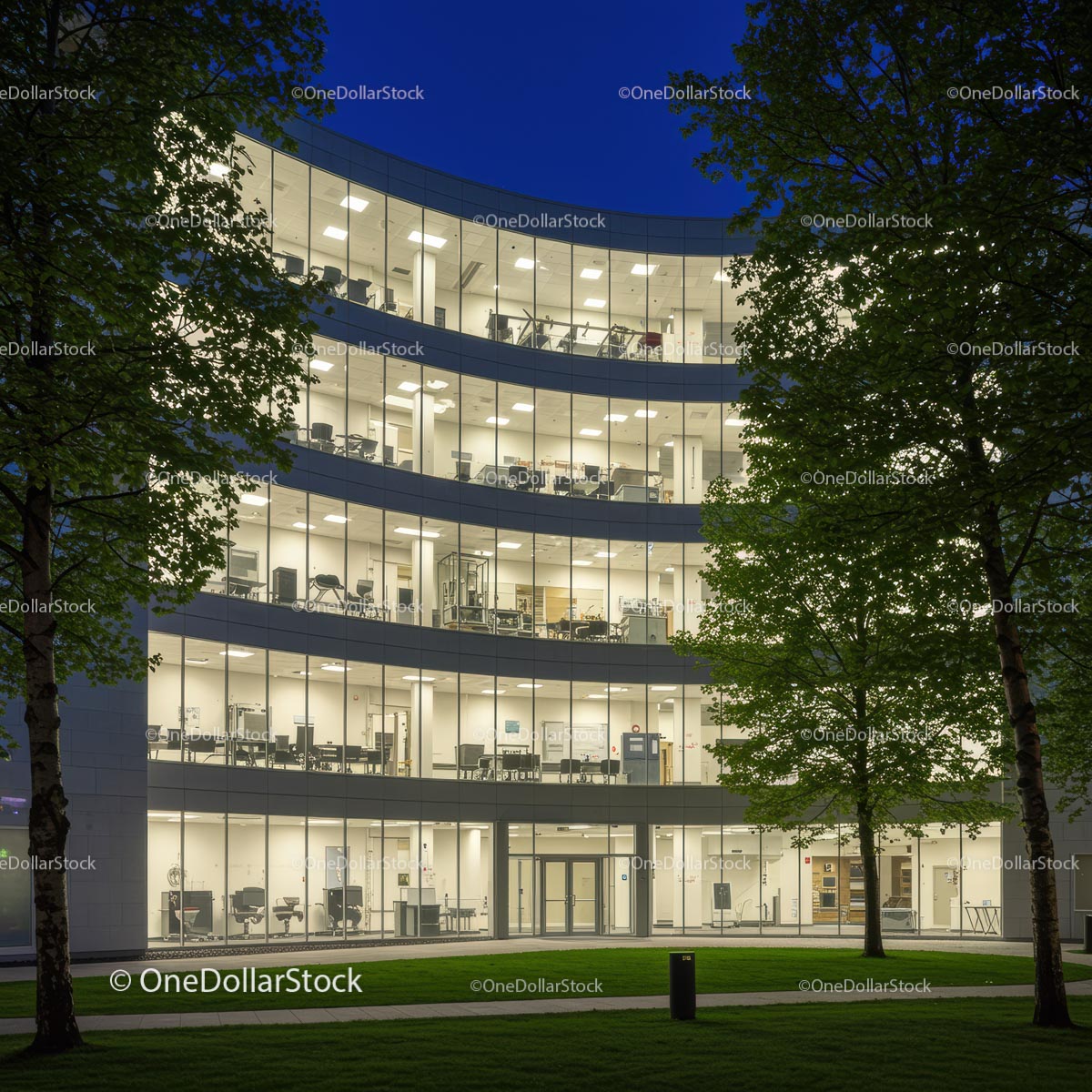 Illuminated Office Building at Night with Trees