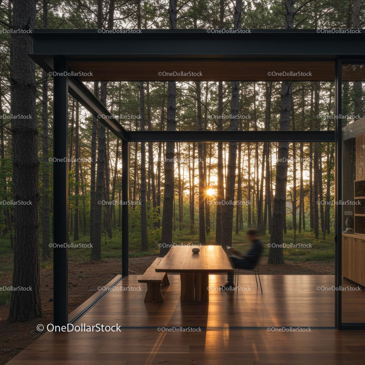Modern Glass Cabin with Sunset in Forest Setting