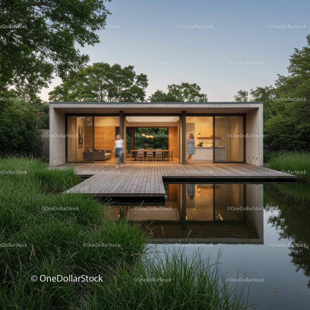 Modern Minimalist Home with Wooden Deck and Pond Reflection