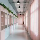 Modern Office Hallway with Pink Accents and Green Plants