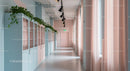 Modern Office Corridor with Pastel Decor and Greenery