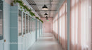 Bright Modern Hallway with Indoor Greenery and Pastel Decor