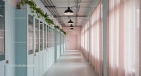Bright Modern Hallway with Indoor Greenery and Pastel Decor