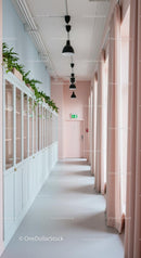 Minimalistic Hallway with Pink Curtains and Greenery