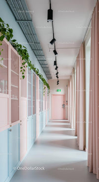 Pastel Modern Hallway with Indoor Greenery and Light-Filled Design