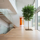 Modern Minimalist Interior with Indoor Tree and Glass Staircase