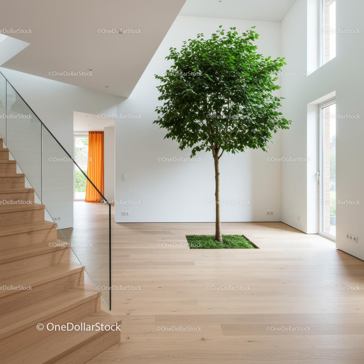 Modern Interior with Indoor Tree and Wooden Flooring