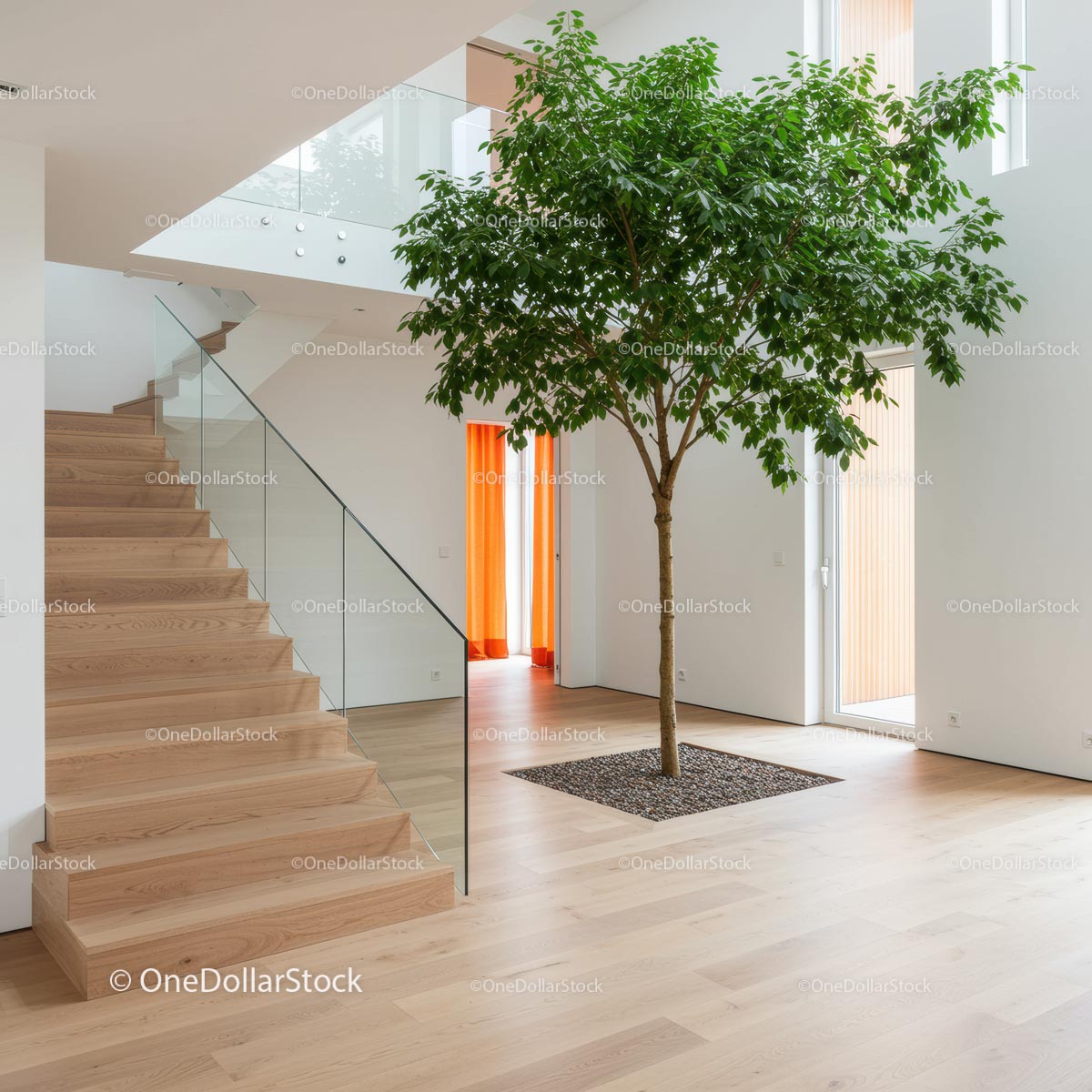 Modern Interior with Glass Staircase and Indoor Tree