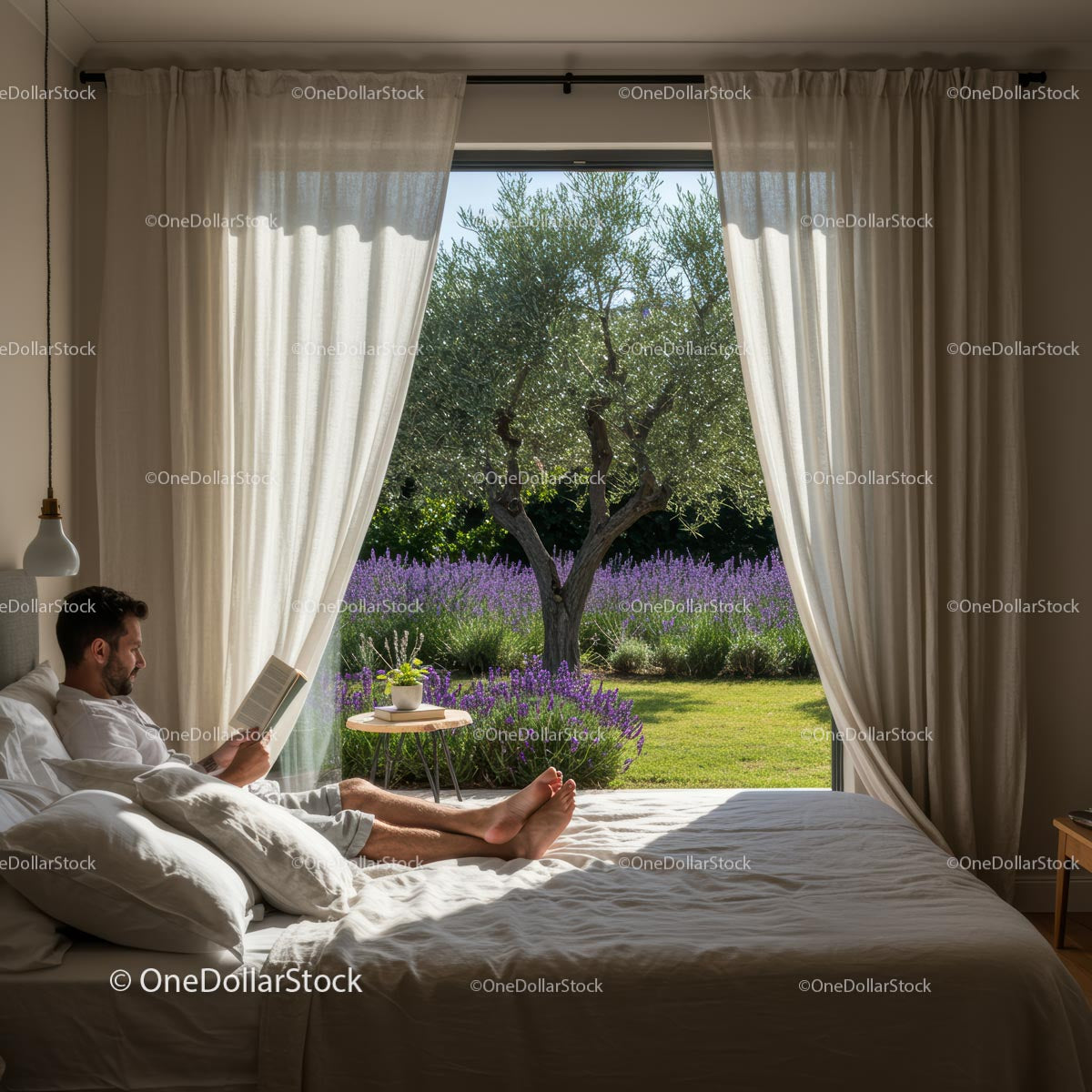 Man Reading in Cozy Bedroom Overlooking Lavender Garden