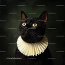 Elegant Black Cat with Victorian Ruff Portrait