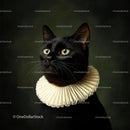 Regal Black Cat in Exquisite Renaissance Collar