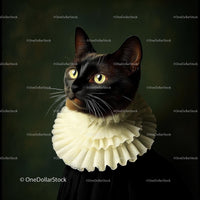 Regal Black Cat in Renaissance-Style Attire