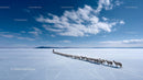 Shepherd Leading Flock Across Frozen Lake Under Blue Sky